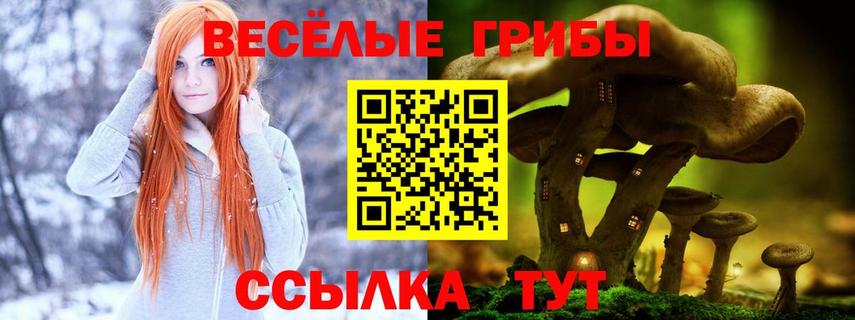Галлюциногенные грибы прущие грибы  Вход с VPN  Королёв 
